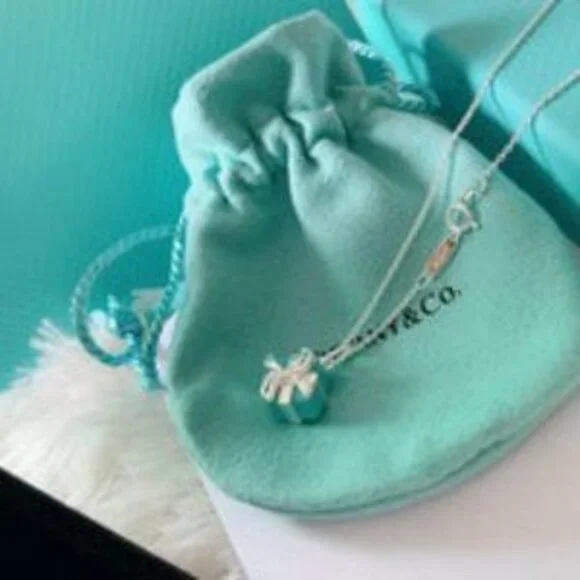 Tiffany & Co. 925 Silver Necklace